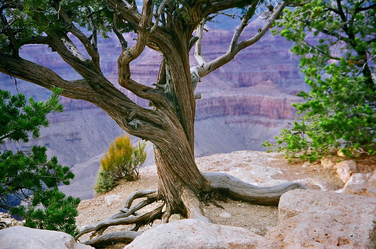 Hidden Trails in the United States’ Zion National Park